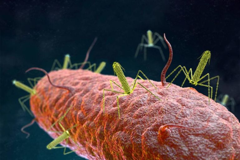 The Incredible Bacterial ‘Homing Missiles’ That Scientists Want to Harness